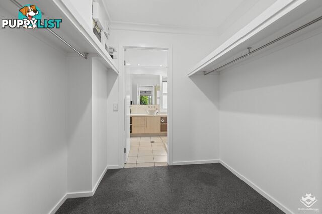 ID:21152880 80 McIntyre Street Hendra QLD 4011
