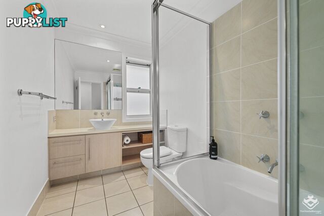 ID:21152880 80 McIntyre Street Hendra QLD 4011