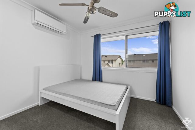 ID:21152880 80 McIntyre Street Hendra QLD 4011