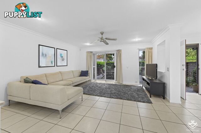 ID:21152880 80 McIntyre Street Hendra QLD 4011