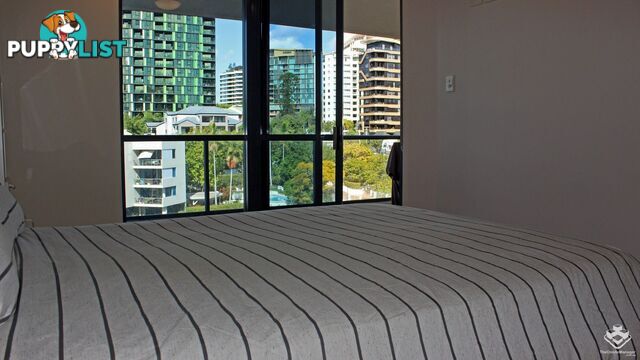 ID:21138543/44 Ferry Street Kangaroo Point QLD 4169