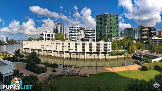 ID:21138543/44 Ferry Street Kangaroo Point QLD 4169