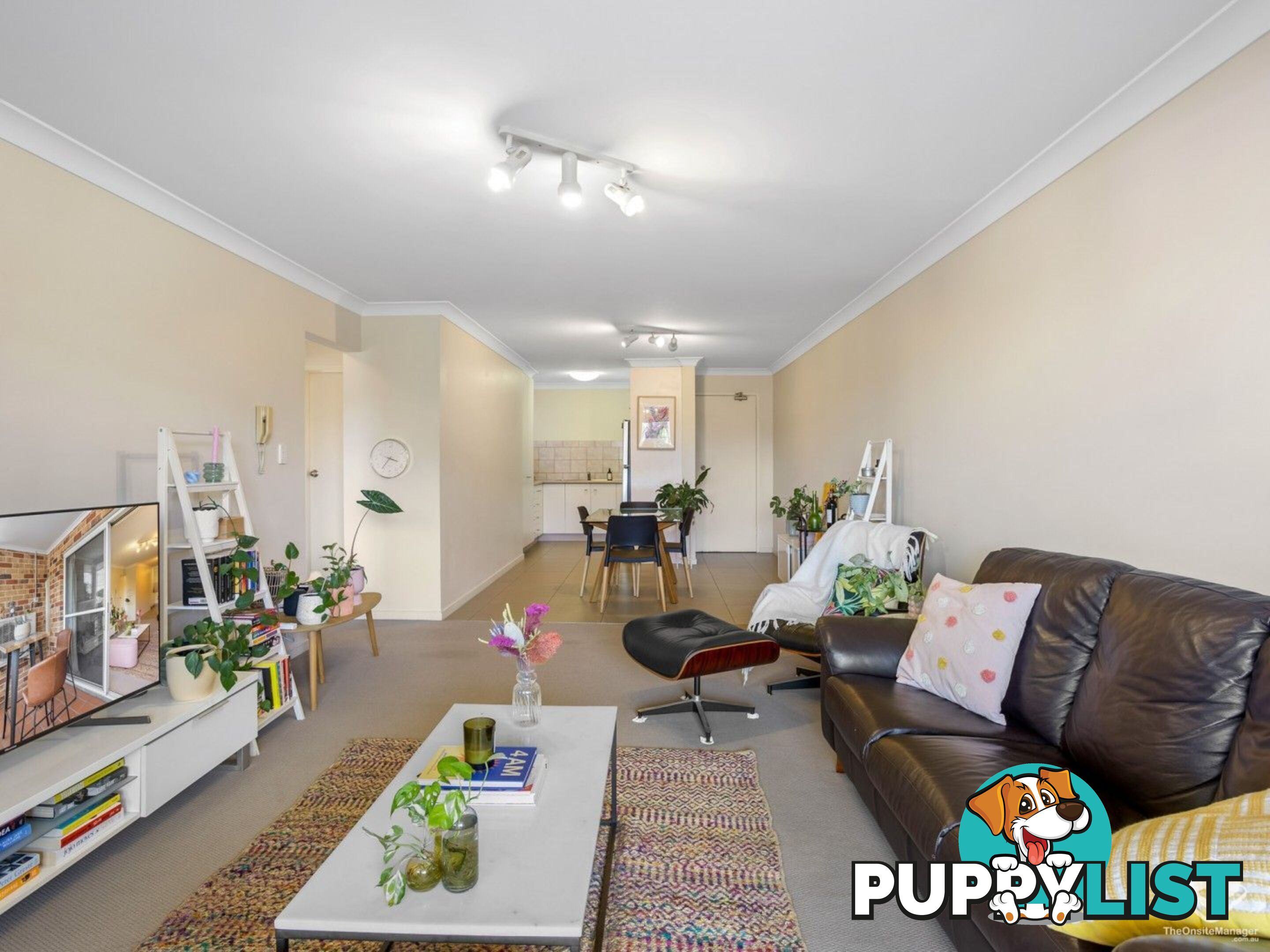 3/86 Thistle Street Gordon Park QLD 4031