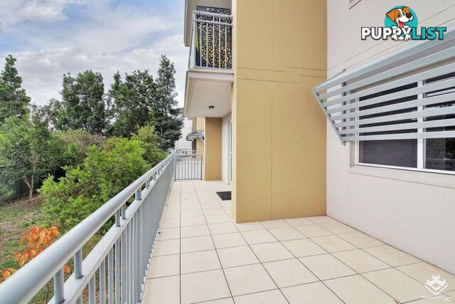ID:21137823 33 Clark Street Biggera Waters QLD 4216