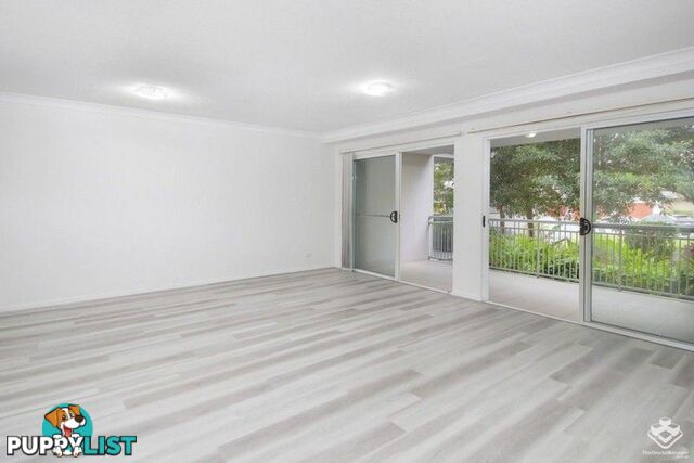 ID:21137823 33 Clark Street Biggera Waters QLD 4216