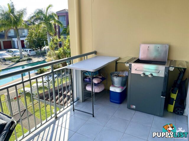 ID:21137823/33 Clark Street Biggera Waters QLD 4216