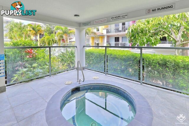 ID:21137823 33 Clark Street Biggera Waters QLD 4216