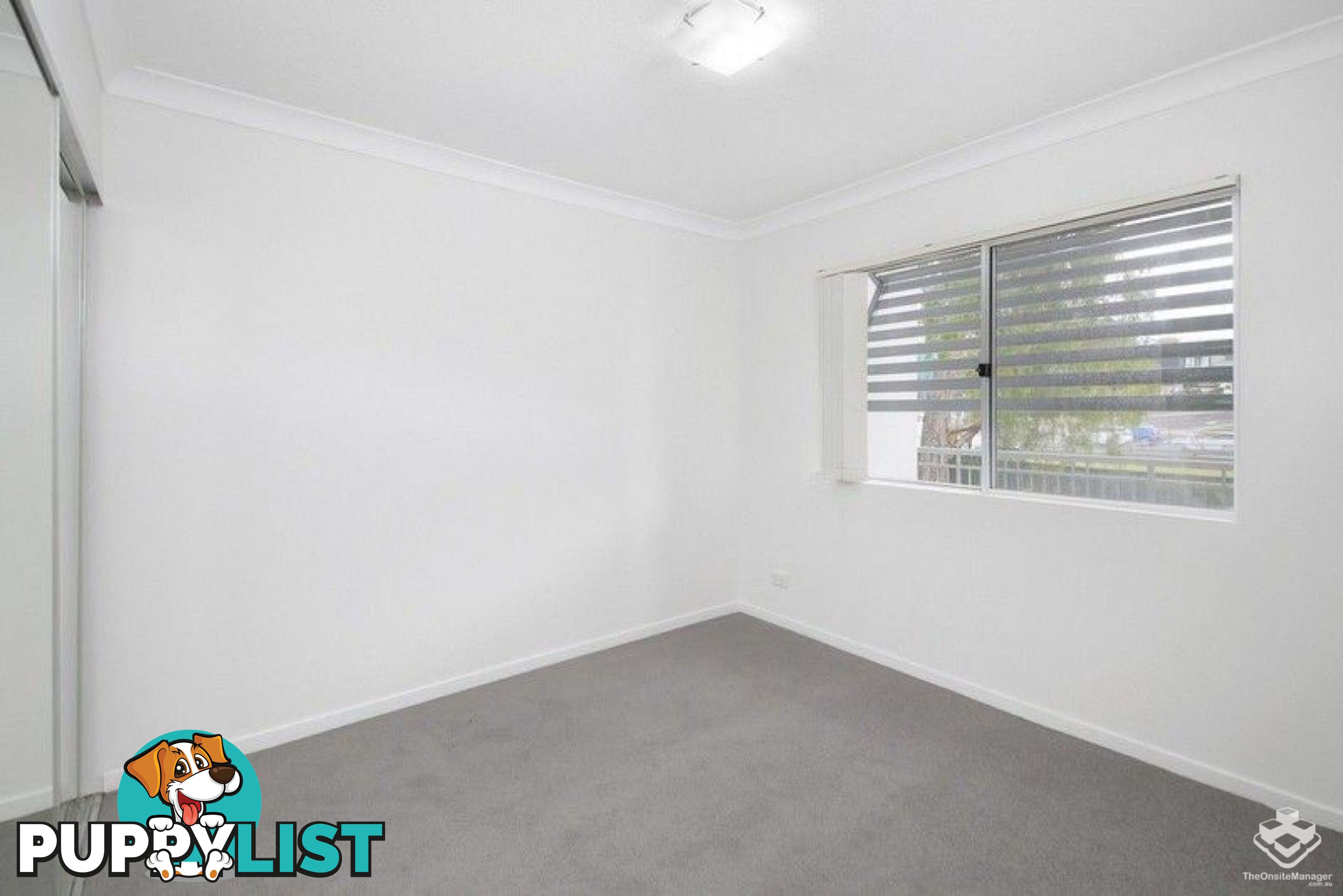 ID:21137823 33 Clark Street Biggera Waters QLD 4216