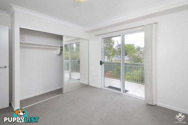 ID:21137823 33 Clark Street Biggera Waters QLD 4216