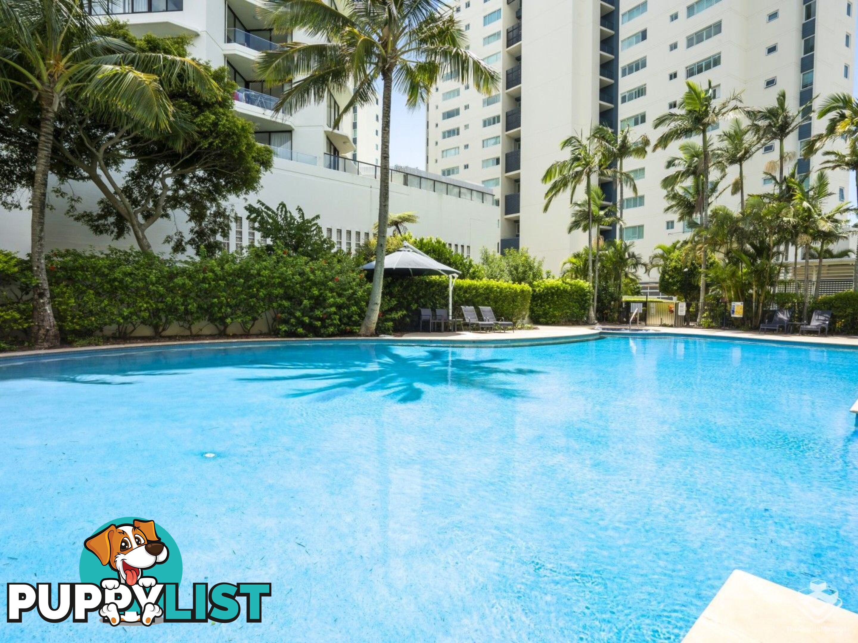 ID:21155922 326 Marine Parade Labrador QLD 4215