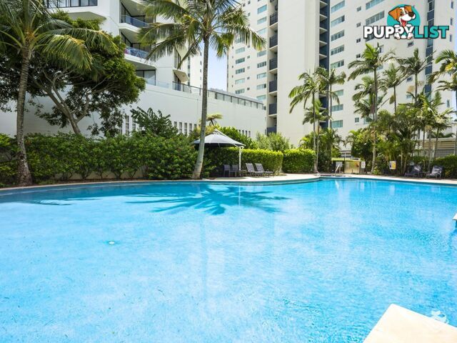 ID:21155922 326 Marine Parade Labrador QLD 4215