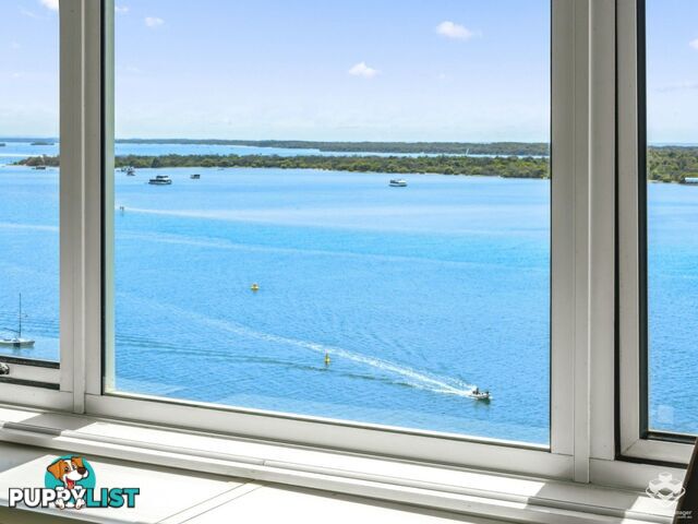 ID:21155922 326 Marine Parade Labrador QLD 4215