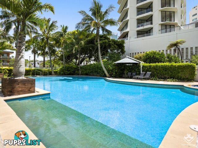 ID:21155922 326 Marine Parade Labrador QLD 4215