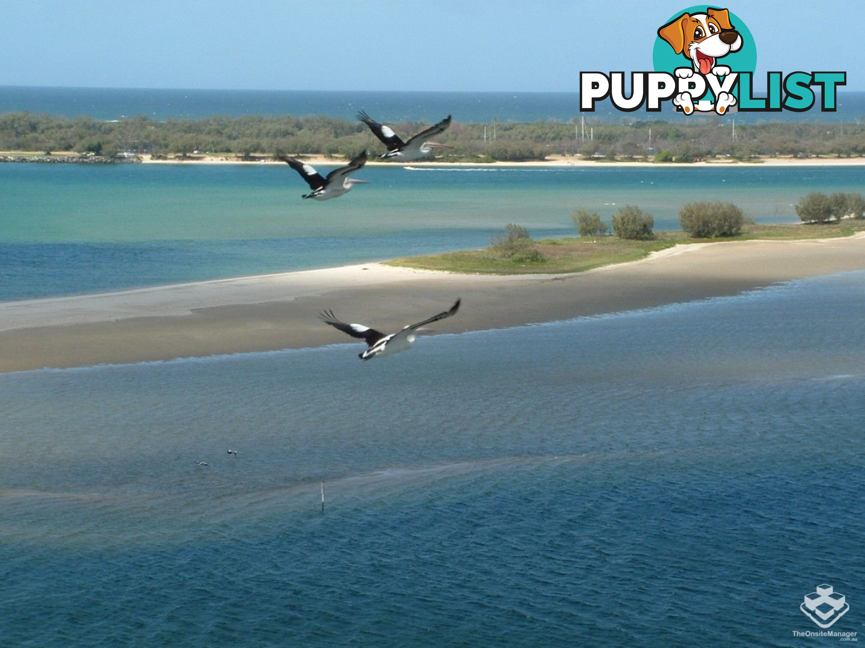 ID:21155922 326 Marine Parade Labrador QLD 4215
