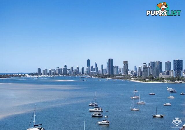 ID:21155922 326 Marine Parade Labrador QLD 4215
