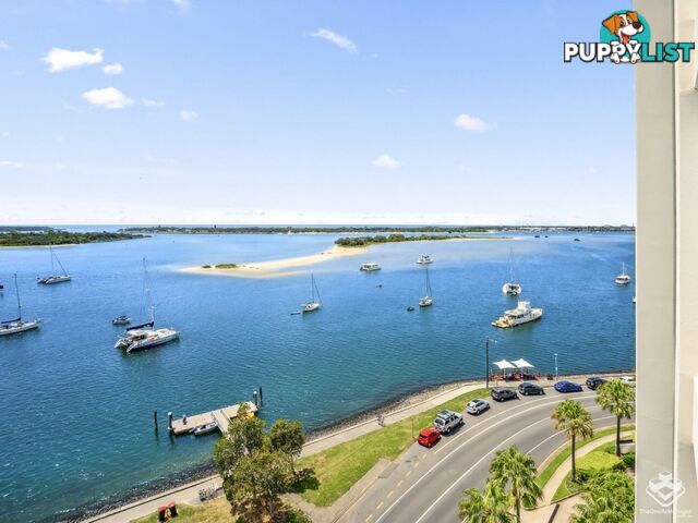 ID:21155922 326 Marine Parade Labrador QLD 4215