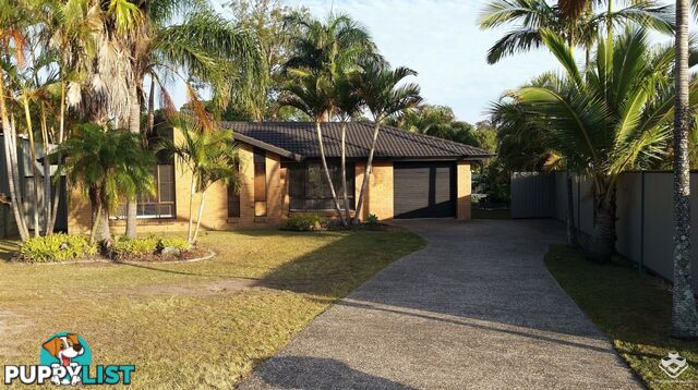 7 Tambo Court Helensvale QLD 4212