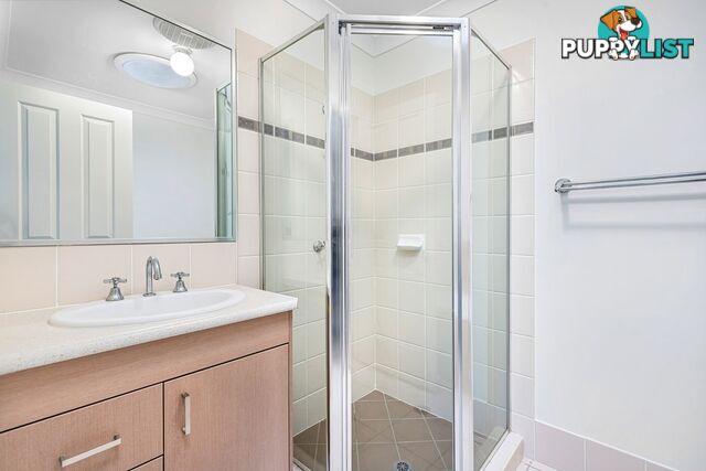 48 Glentree Avenue Upper Coomera QLD 4209