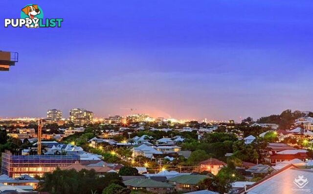 ID:21157351 20 Malt Street Fortitude Valley QLD 4006