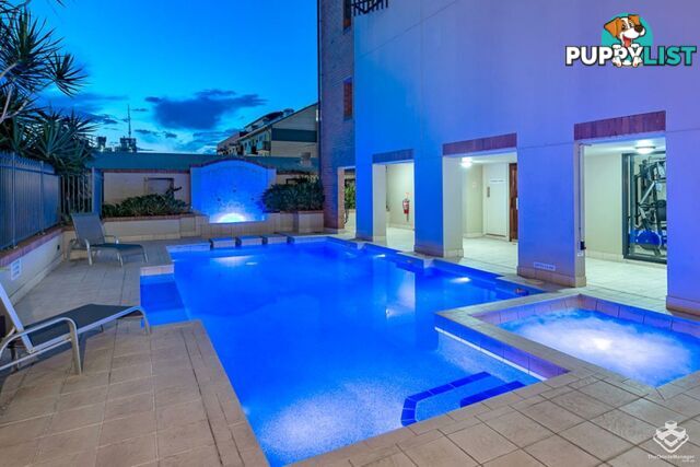 ID:21157351 20 Malt Street Fortitude Valley QLD 4006