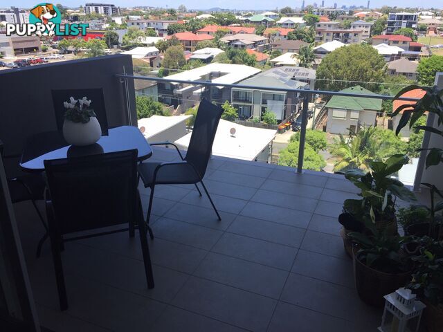 ID:3871692/24 Colton Avenue Lutwyche QLD 4030