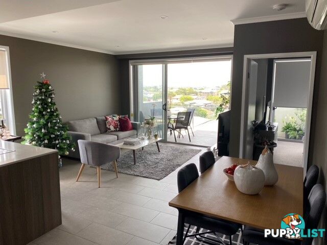 ID:3871692/24 Colton Avenue Lutwyche QLD 4030