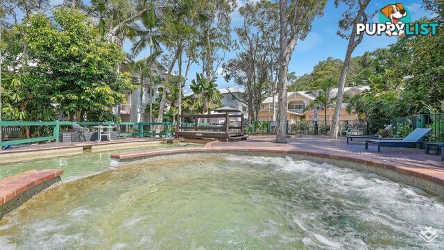ID:21153677 193-199 Mayers Street Manoora QLD 4870