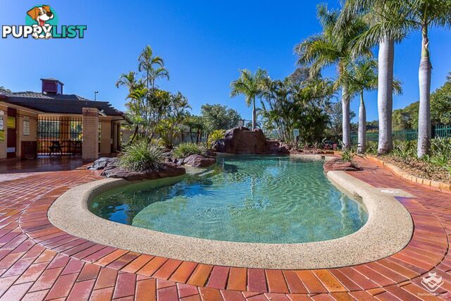 203/125 Hansford Road Coombabah QLD 4216