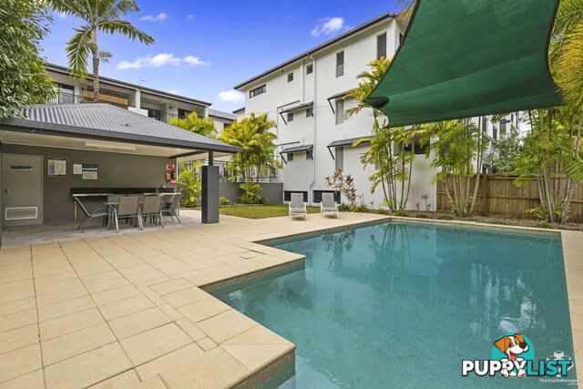 ID:21140236/376 Severin Street Parramatta Park QLD 4870