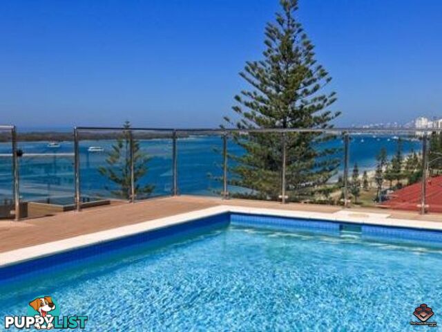 ID:3855183/508 Marine Parade Biggera Waters QLD 4216