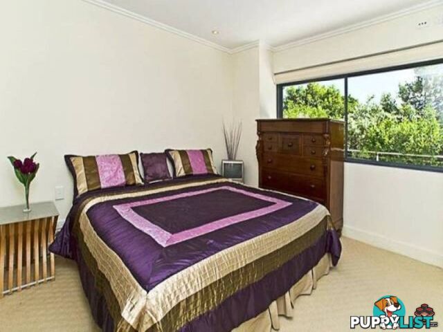 ID:3855183/508 Marine Parade Biggera Waters QLD 4216