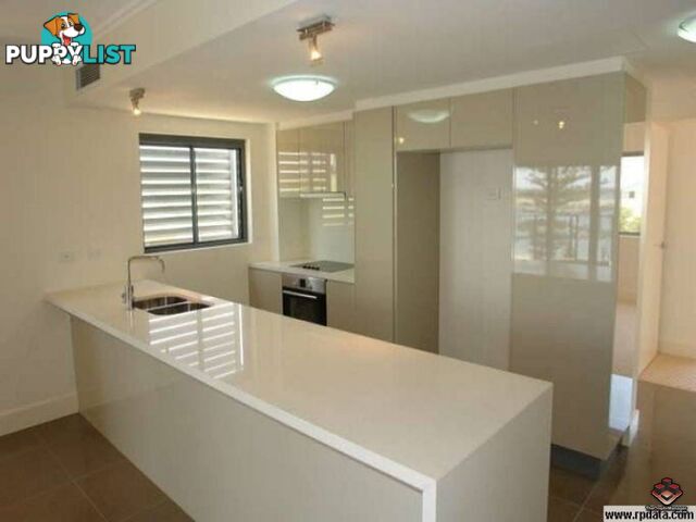 ID:3855183/508 Marine Parade Biggera Waters QLD 4216