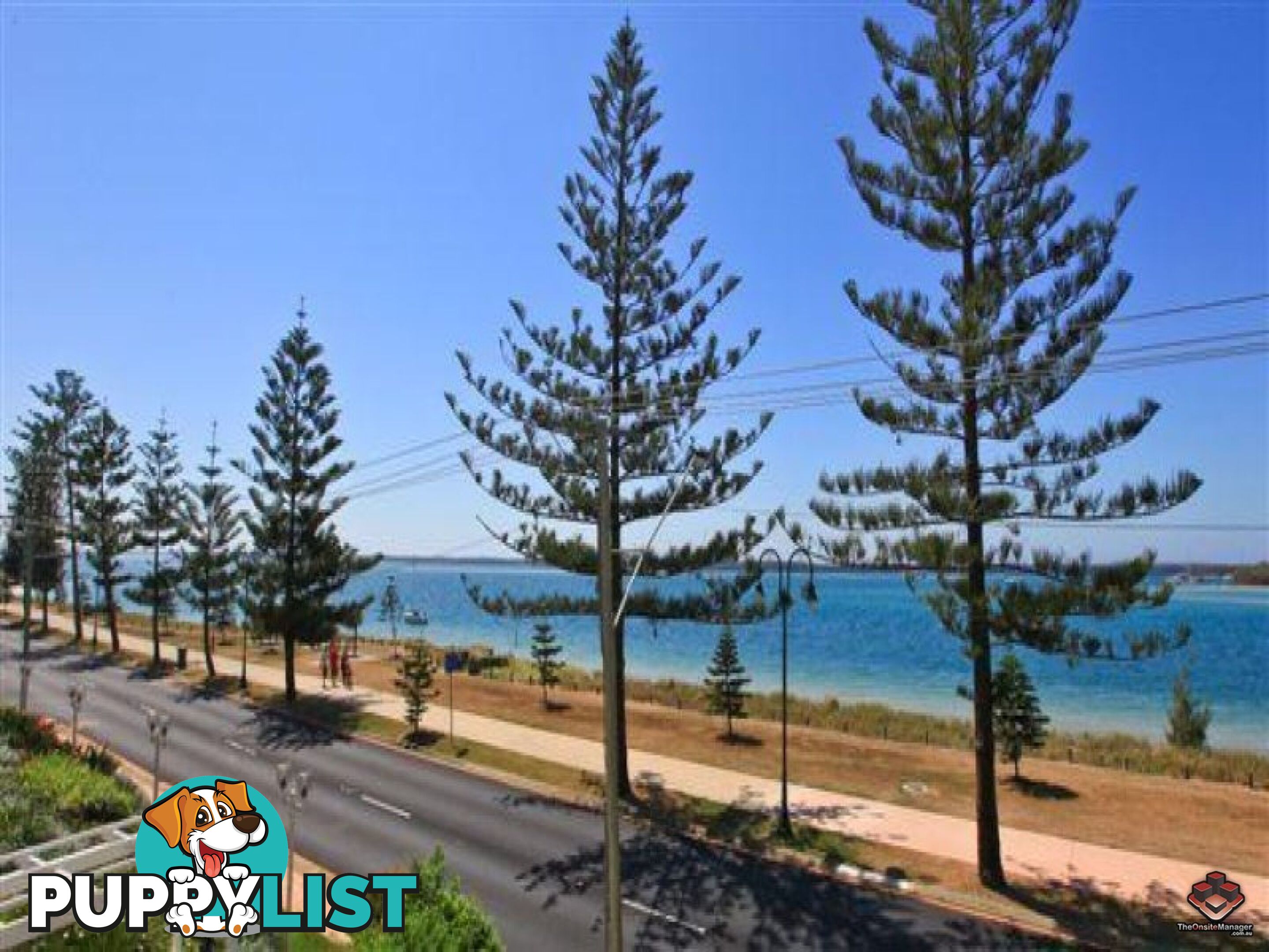 ID:3855183/508 Marine Parade Biggera Waters QLD 4216