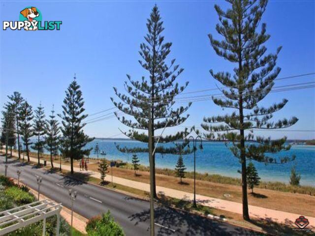 ID:3855183/508 Marine Parade Biggera Waters QLD 4216