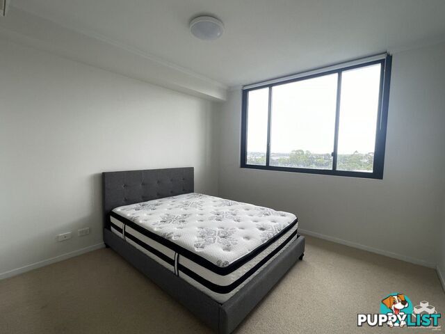 ID:21152743 25 Parnell Boulevard Robina QLD 4226