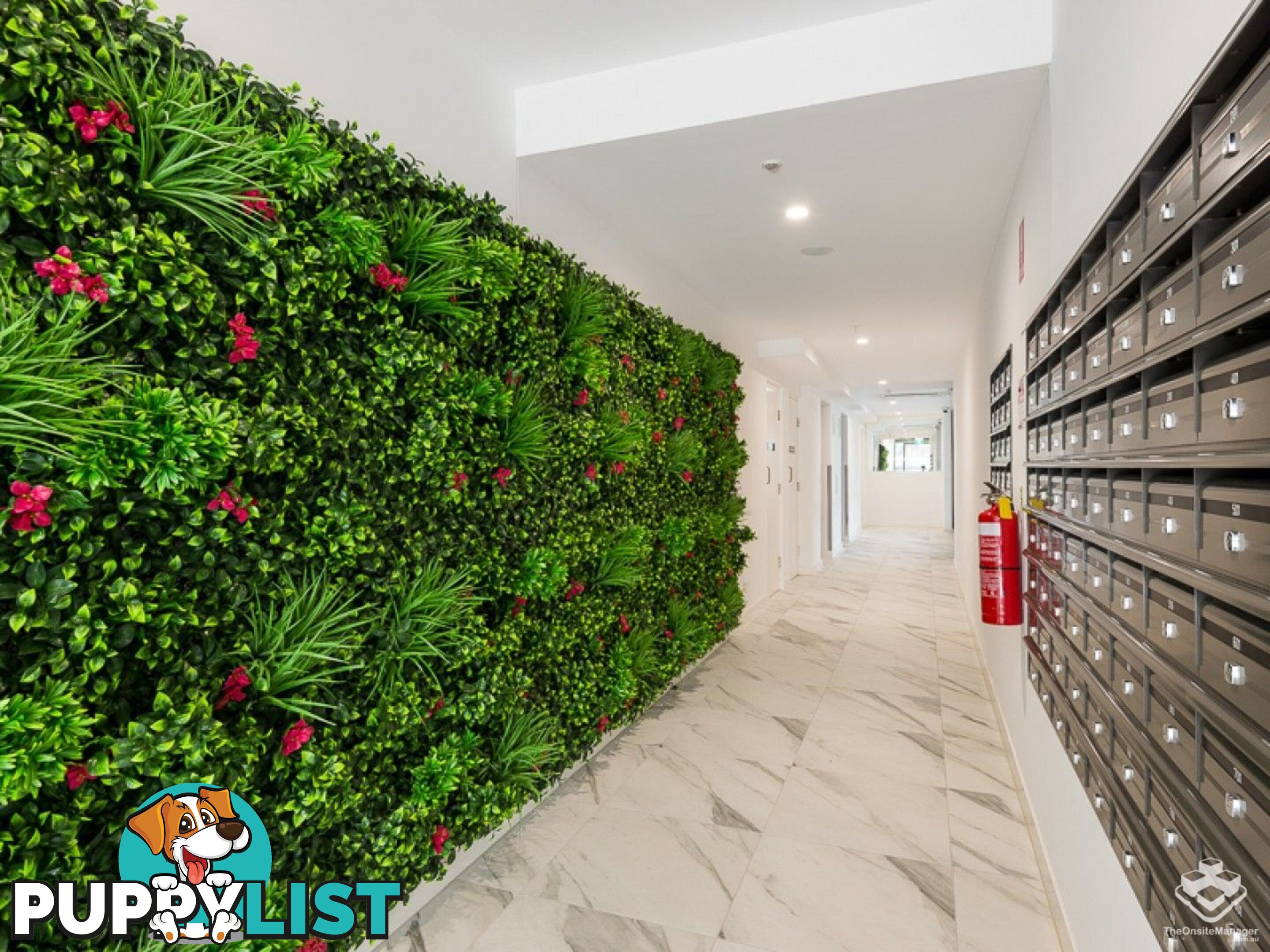 ID:21134328 70 Carl Street Woolloongabba QLD 4102