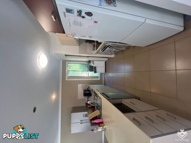 31 Shaw Place Redland Bay QLD 4165