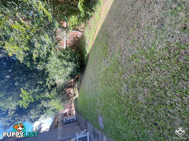 31 Shaw Place Redland Bay QLD 4165