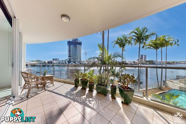 ID:21145506/40 Riverview Parade Surfers Paradise QLD 4217