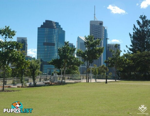 ID:21144808/19 Wicklow Street Kangaroo Point QLD 4169