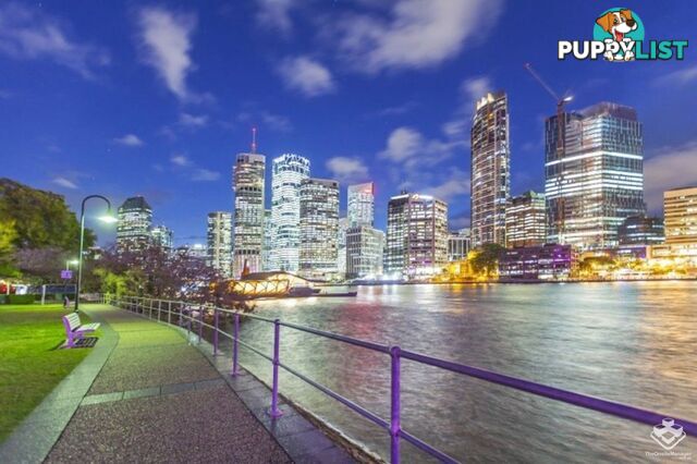 ID:21144808/19 Wicklow Street Kangaroo Point QLD 4169