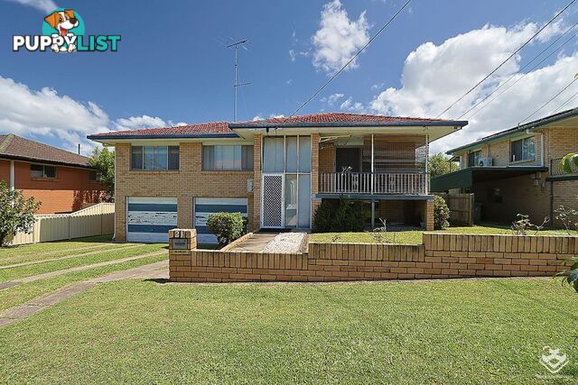 ID:21144479/21 Mourilyan Street Mansfield QLD 4122