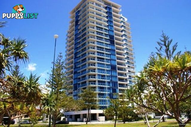 ID:21138070/230 Marine Parade Labrador QLD 4215