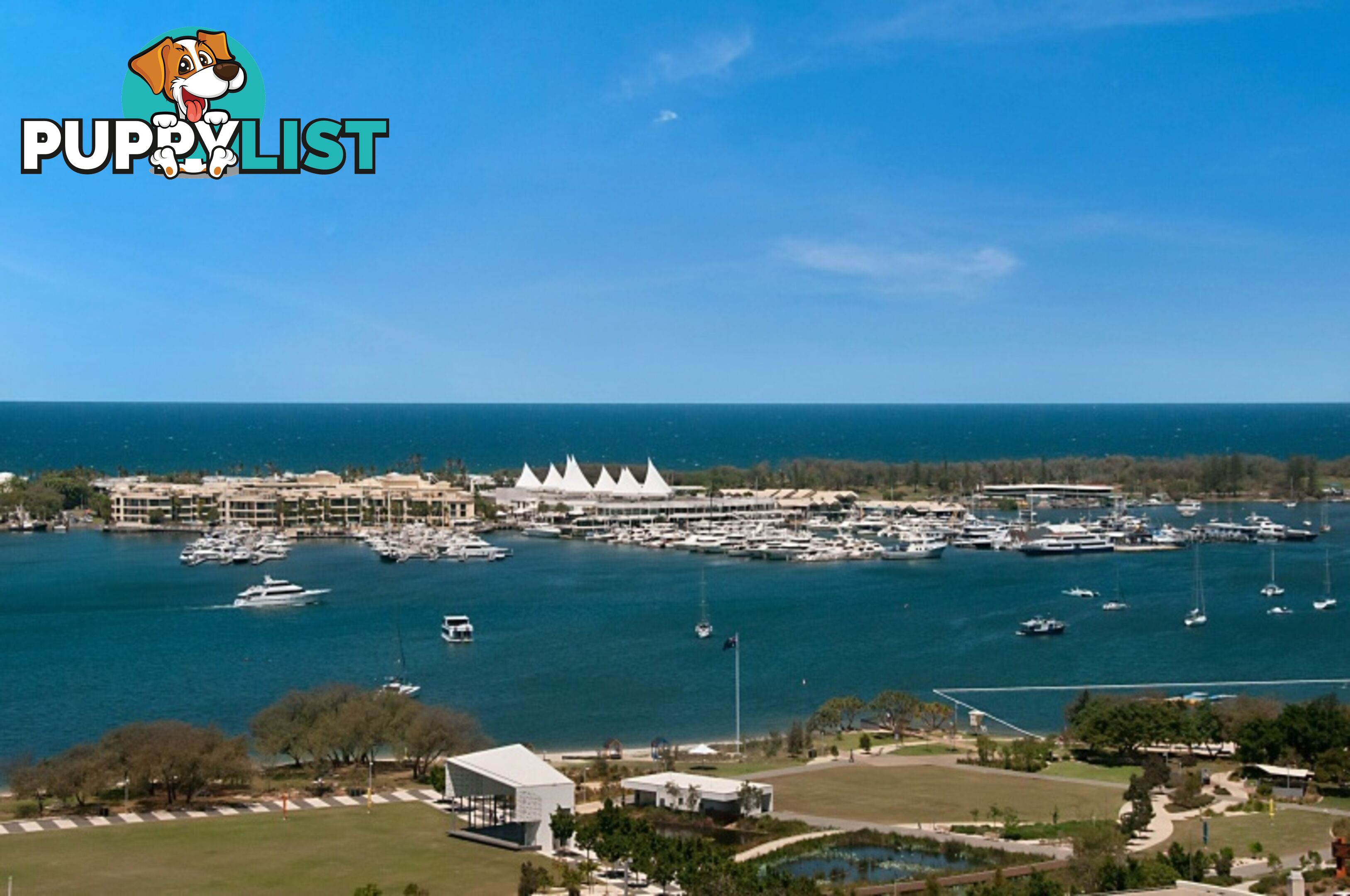 ID:21156773 105 Scarborough St Southport QLD 4215