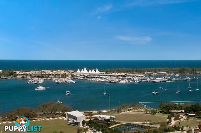 ID:21156773 105 Scarborough St Southport QLD 4215