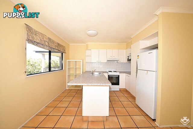 8/260 Sir Fred Schonell Drive St Lucia QLD 4067