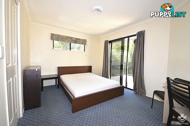 8/260 Sir Fred Schonell Drive St Lucia QLD 4067