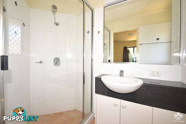 8/260 Sir Fred Schonell Drive St Lucia QLD 4067