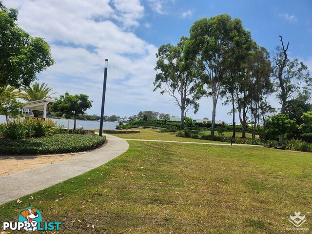 ID:21144996/19 Lake Serenity Boulevard Helensvale QLD 4212