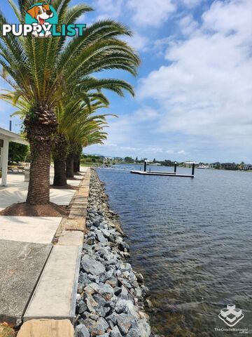 ID:21144996/19 Lake Serenity Boulevard Helensvale QLD 4212